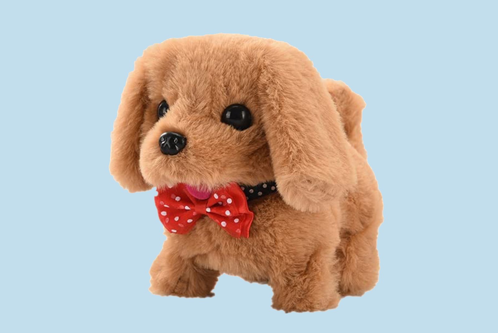 Toy Dog