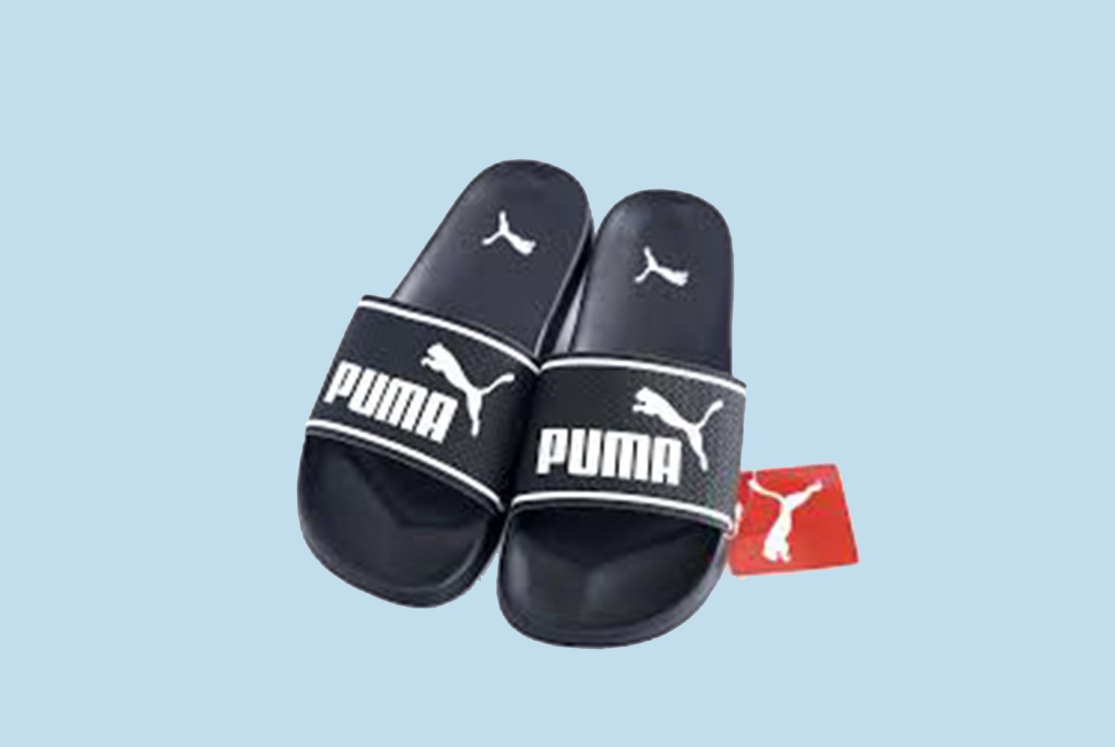 PUMA Unisex's Leadcat 2.0 Slide Sandal