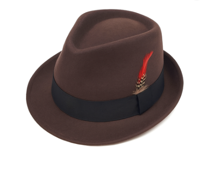 Fedora Panama Trilby Vintage Hat (Brown)